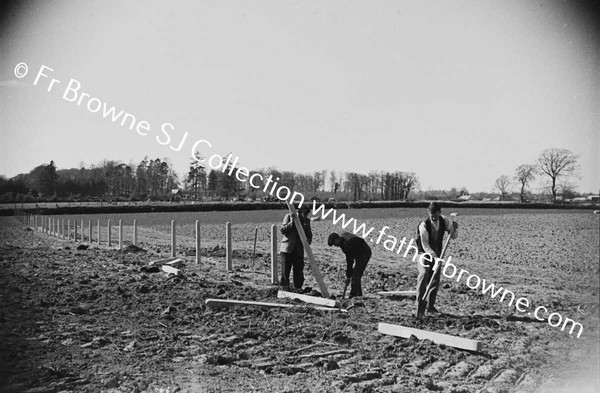 PUTTING UP NEW FENCE POSTS IN NEWLY CLEARED FIELD